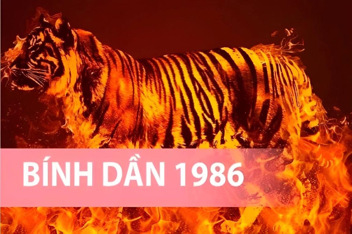 tuổi bính dần