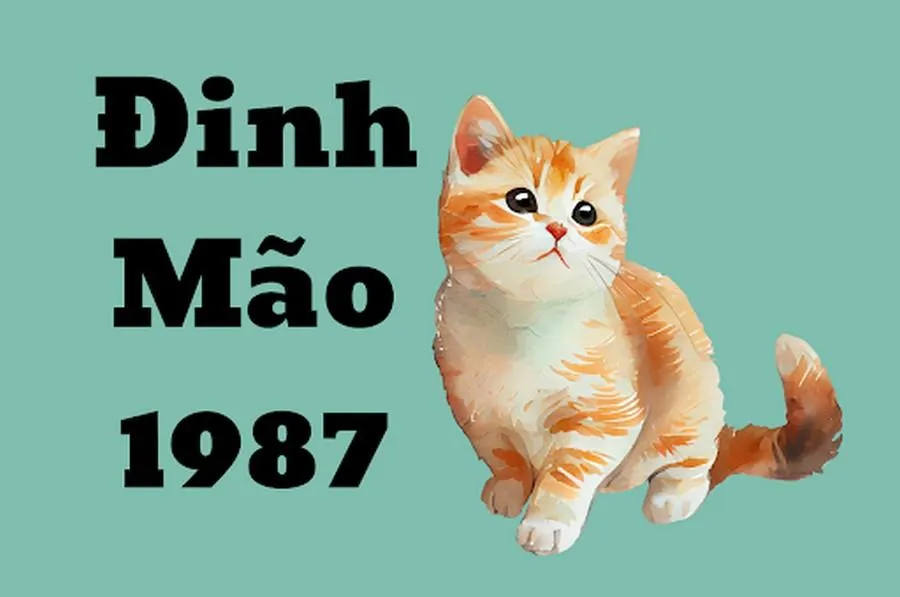 tuổi đinh mão.